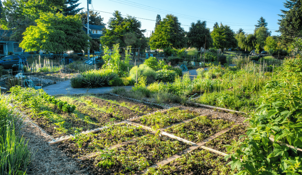 the-different-forms-of-vegetable-growing-greenhouse-reviews-blog